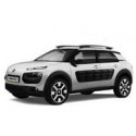 Tapis de coffre C4 Cactus